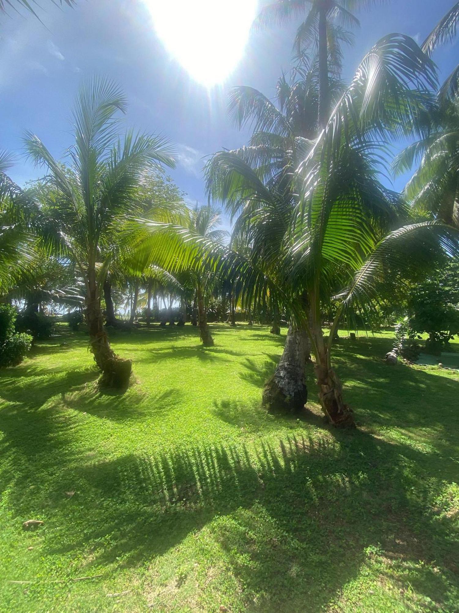 South End Villas - Apartamentos Paradisiaco En El Caribe Colombiano San Andrés Esterno foto